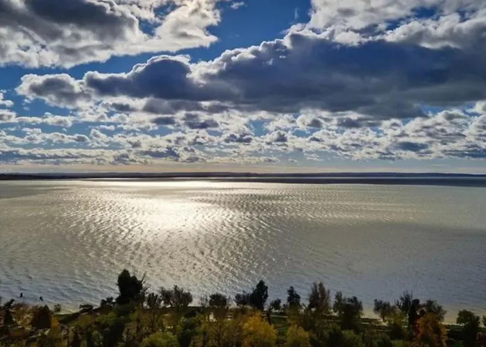 B&B Kalman Imre Panzio